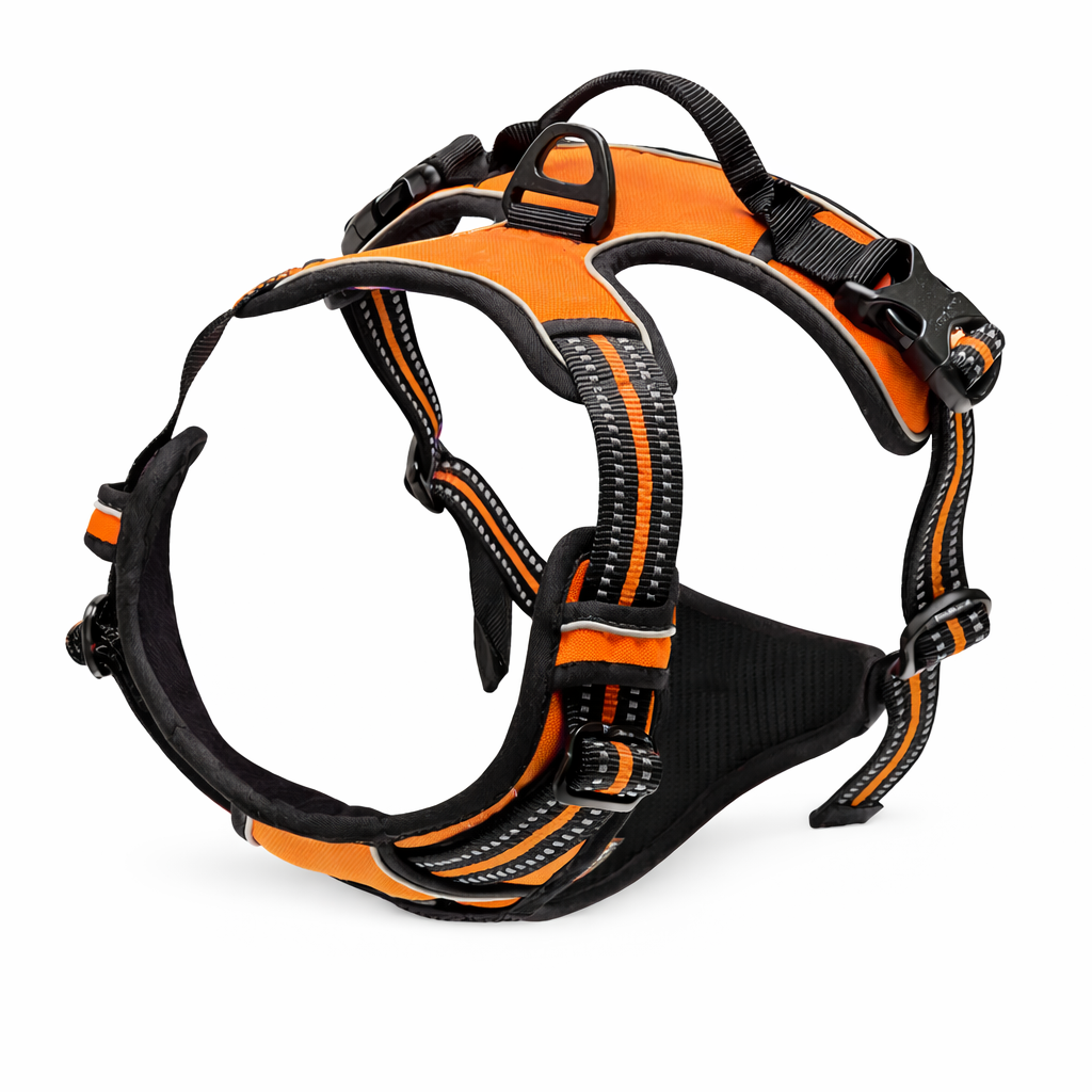 The Unique No-Pull Dog Harness